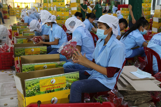 Thúc đẩy tăng trưởng xuất khẩu Việt Nam - Trung Quốc